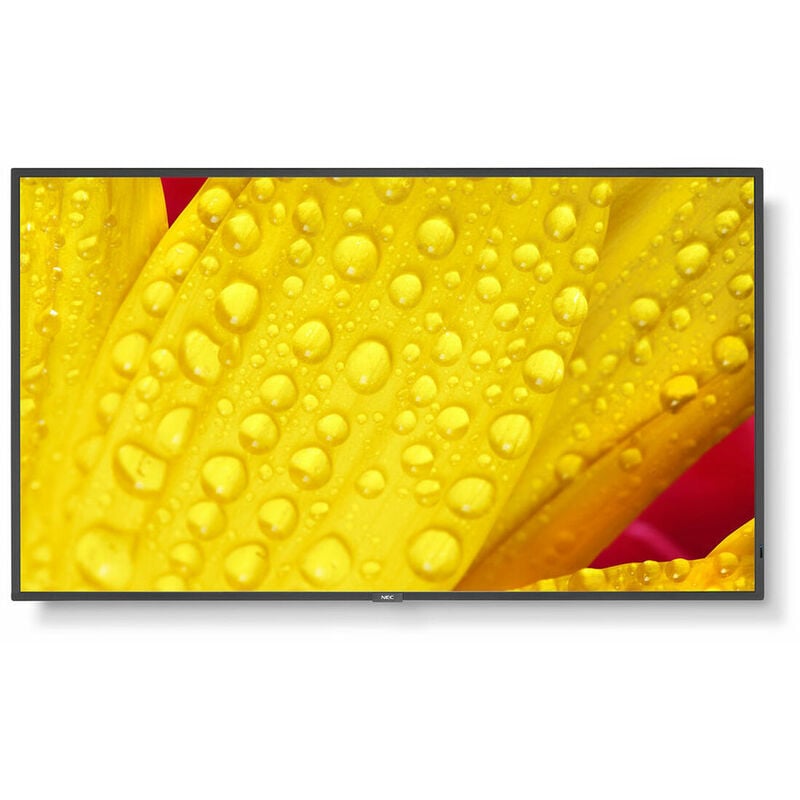 

Monitor 60005053 LED 4K Ultra HD 50' - NEC