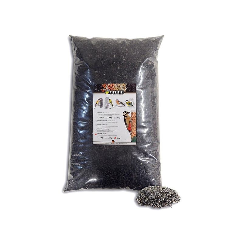 

Semilla de Negrillo 1 kg - Grana