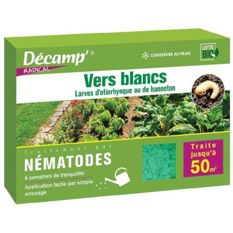 Nématodes HB anti otiorhynques 25 millions – Surface traitable jusqu'à 50 m² – Traitement biologique ciblé contre ravageurs – Décamp'