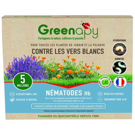 Nématodes HB anti vers blancs 5 millions – Lutte biologique pour 10m² – Application par arrosage – Efficacité rapide contre ravageurs – Biotop