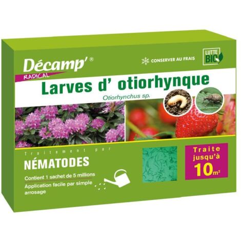 Nématodes Heterorhabditis bacteriophora 5M – Lutte biologique contre otiorhynques – Surface traitée 10 m² – Poudre mouillable – Décamp'