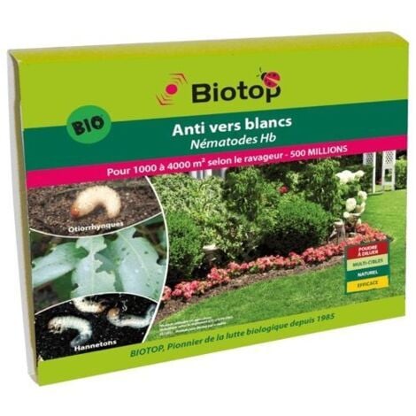 Nématodes utiles HB anti vers blancs (500M)