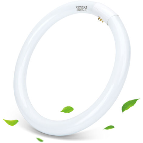 neon circolina tubo fluorescente bianco freddo 32 watt