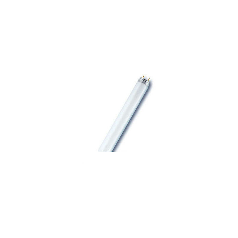 Nova Line - lampada neon fluor.te D.26 18W CM.60 luce fredda