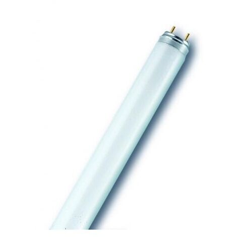 Neón Osram Nl-T8 51W/840
