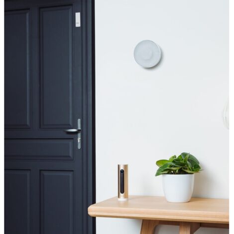 Netatmo NBU-ICCS Kamera mit Sensoren und Sirene