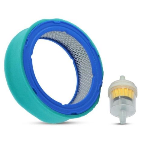 Nettoyage du filtre à air pour moteurs Briggs & Stratton 394018, 392642, 394018S, 5050H, 5050B.
