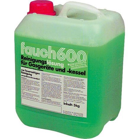 Nettoyant chaudière FAUCH 600