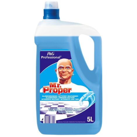 Nettoyant Multi-Usages Bidon de 5L - Procter & Gamble France