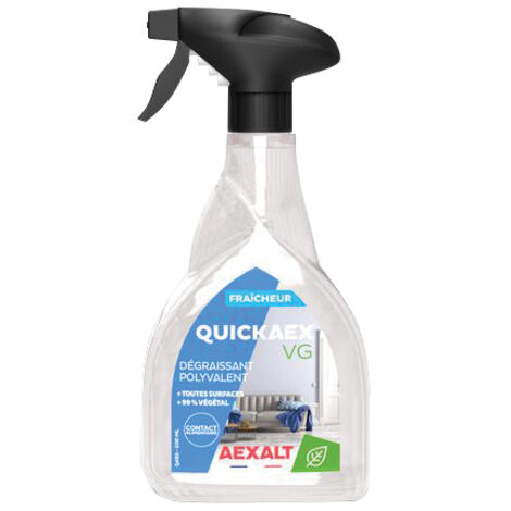 Nettoyant QUICKAEX VG - 500 mL - parfum boisé - AEXALT