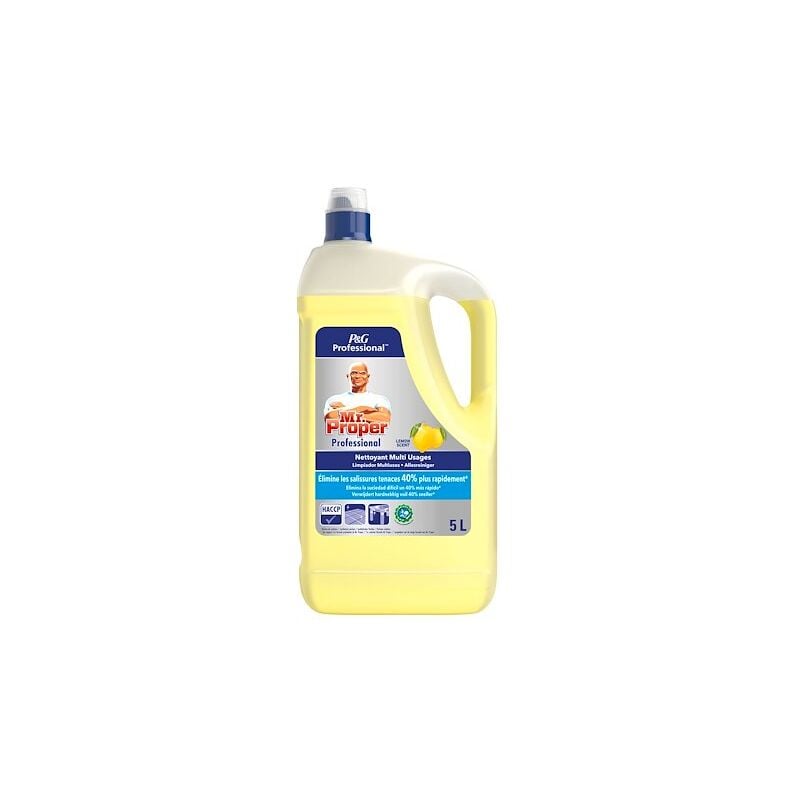 Nettoyant multi-usages Mr Propre citron - Bidon de 5 litres