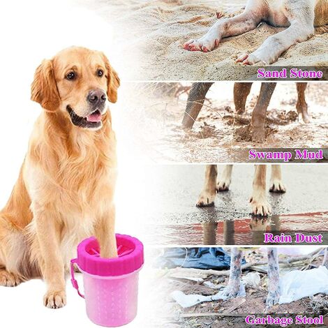 Un nettoyeur de pattes - Accessoires d'été pour vos chiens et chats -  L'Internaute Nature