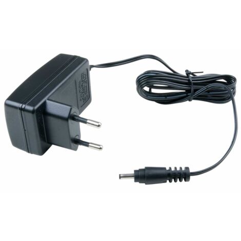 Netzladegerät, 110V/220V