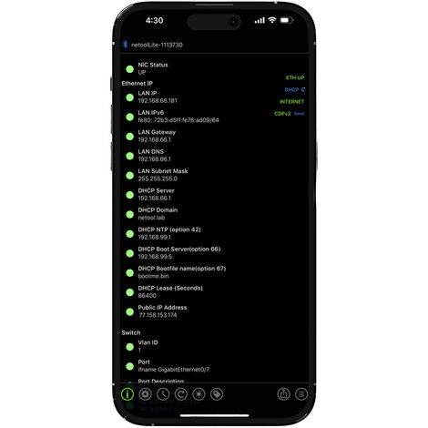 Netzwerkprüfgerät NE1E Netool IO Lite Smarter  Netzwerk