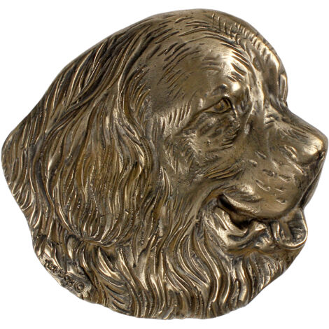 Neufundländer, Neufundländer, Wasserfall - eine Gedenktafel mit einem Hund, ein personalisiertes Dankeschön, eine Auszeichnung, ein Diplom mit einer Widmung der Marke Art-Dog