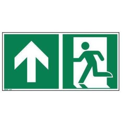 NEUTRALWARE Hinweisschild 30 x 15 cm (B x H) E001 geradeaus durch die Tür oder aufwärts Hart-PVC