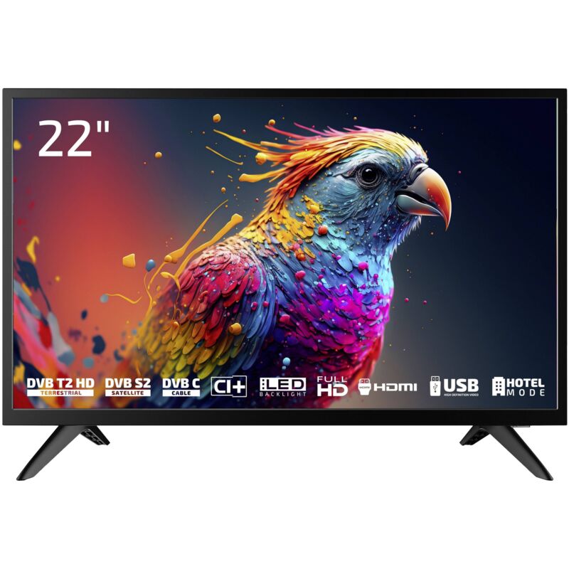 [NEUWERTIG] B-Ware Dyon Enter 22 Pro X2 Fernseher Tv Led Full Hd Schwarz Triple Tuner 22 Zoll