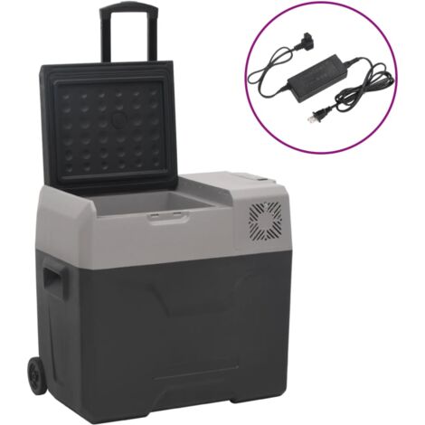 Nevera con ruedas y adaptador polipropileno negro y gris 30 L