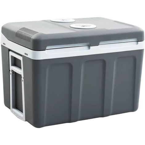 Nevera termoeléctrica portátil 40 litros 12 V 230 V E