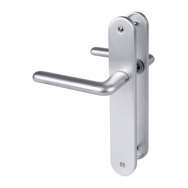 Eurowale - new camelia sup arg bdc