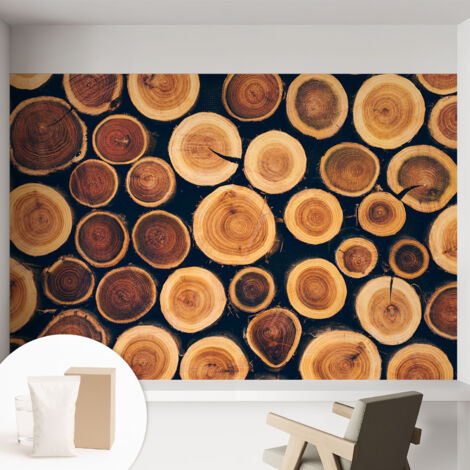 Newroom Tapete Dekorative Vliestapete mit Kleber Modern für Wohnzimmer Schlafzimmer  Holzkreise 152x104 cm