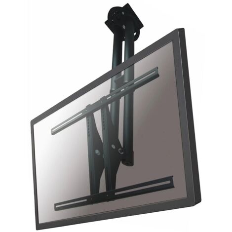 NewStar Deckenhalterung für Flachbildschirme PLASMA-C100BLACK