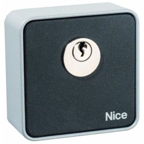 Selettore a chiave antieffrazione in metallo, da esterno, 2 micro switch -  Tecno Automazione SCU2ELT