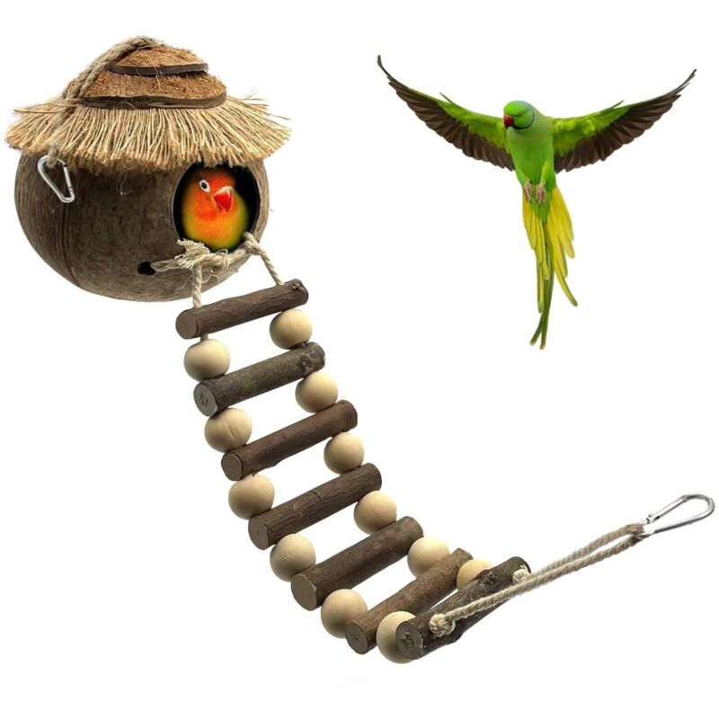 Nichoir à oiseaux naturel en noix de coco avec échelle pour perroquets, moineaux et petits animaux – Nid de coquille de noix de coco pour jardin ou