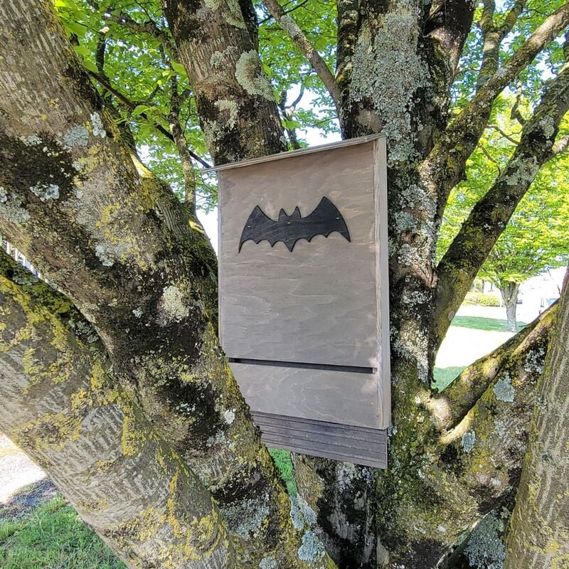 Poulailler Direct - Nichoir Pour Chauve-souris Grande Taille En Bois Fsc - Bois