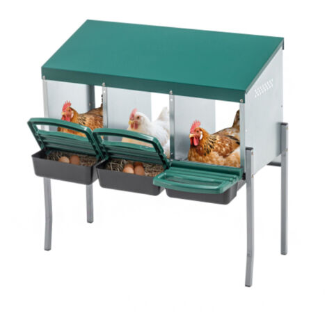 Nichoirs à poules avec 3 trous de nidification et pieds, comprenant un couvercle pour une utilisation extérieure (poulailler / élevage de volailles), couleur : vert