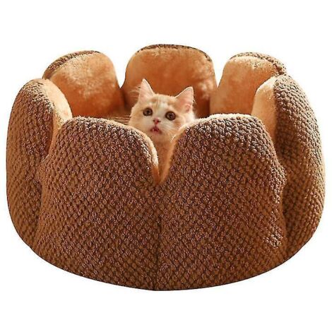 Nid de pétales de cactus pour chat, peluche épaisse - M - marron