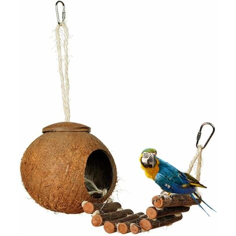 Nid d'oiseau en coquille de noix de coco avec échelle d'escalade pour hamster, miel, furet