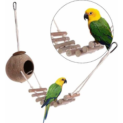 Nid d'Oiseau Noix Coco Naturelle Cage à Oiseaux En Noix Coco Nid d'Oiseau Naturel Avec Échelle Oiseau Coco House Nid De Balançoire Pour Perroquet Pont En Échelle Pour Cages Oiseau Pour Hamsters