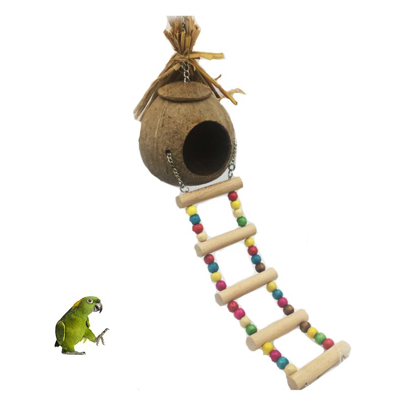 Nido di nido di uccello nido del pappagallo nido