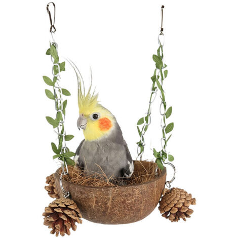 Nido di uccello del cocco