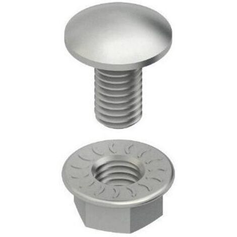 Niedax Schraube Flachrundkopf FLM 12X30 F