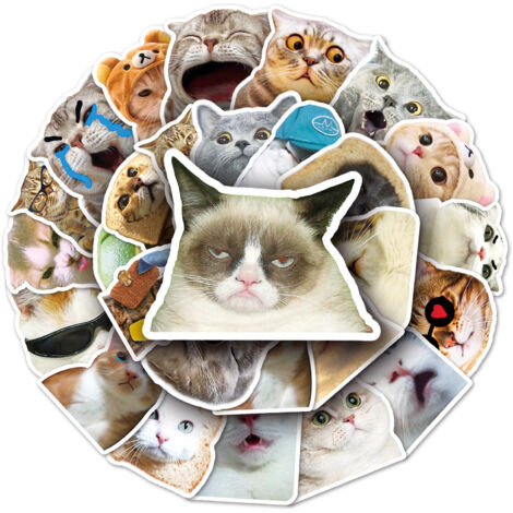Niedliche Katzen, 50 Emoticon-Sticker, DIY-Notizbuch-Wasserbecher, große Buchsticker, Station