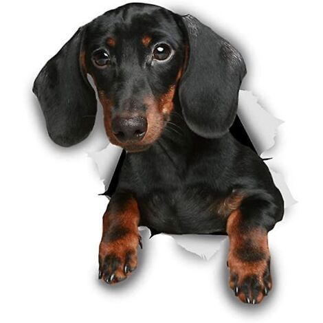 Niedlicher Dackel-Wandaufkleber (geknitterte Version) – Hundetoilettenaufkleber – 3D-Hunde-Fensteraufkleber