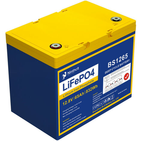 Ninthcit LiFePO4 Akku 12.8V 130AH 1664Wh Lithium Batterie mit über 8000 Mal  Tiefzyklen und BMS Schutz für Solaranlage, Geeignet für Solaranlagen,  Wohnmobile, Boote, Häuser