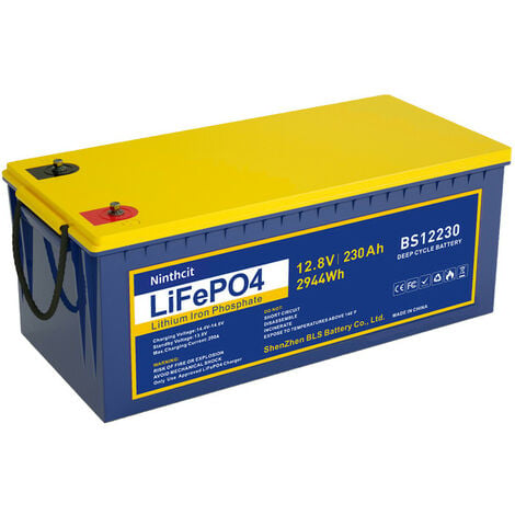 Ninthcit LiFePO4 Akku 12.8V 300AH, Lithium Batterie mit über 8000 Mal  Tiefzyklen und BMS Schutz für Solaranlage, Geeignet für Solaranlagen,  Wohnmobile, Boote, Häuser(1Stück)