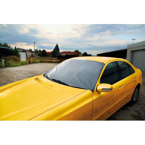 No-Frost Basic, copertura antibrina per parabrezza - 180x85 cm