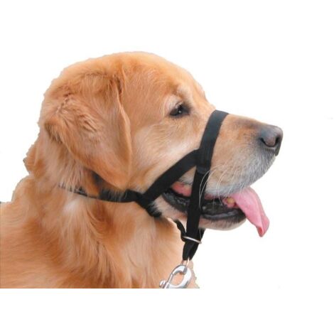 Nobby Easy Leader schwarz Hundegeschirr