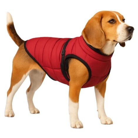 Nobby Hundemantel Salus 2 in 1 bordeaux