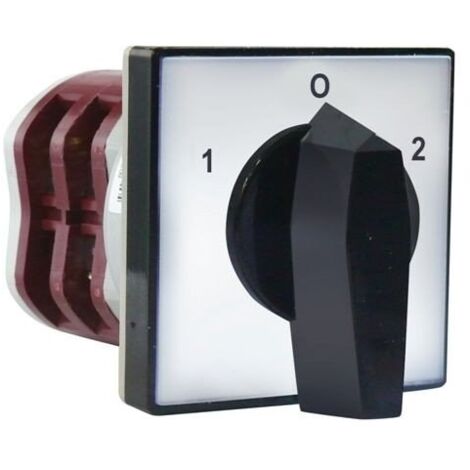 Nockenschalter 1-0-2 2P 10A für eingebauten 4G10-52-U R014 63-840341-011
