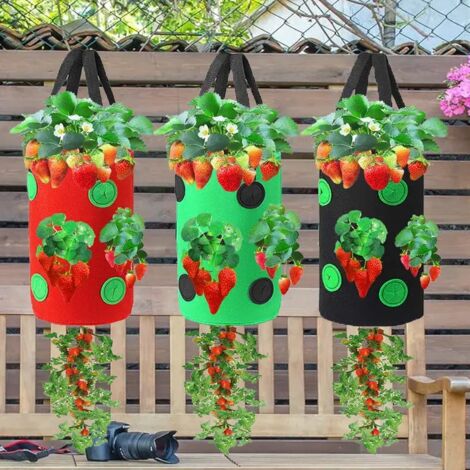(noir) 1 sac de plantation suspendu pour fraisiers et tomates, pot de plantation vertical pour fraisiers