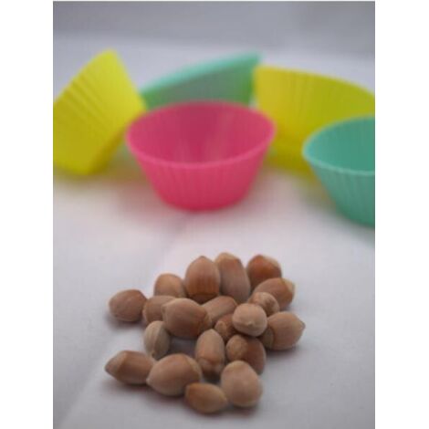 Noisetier commun 'Longue d'Espagne' Pot de 3L/4L, Buisson