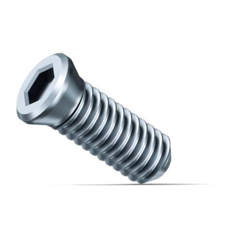 Nom Vis de serrage Fein 10x SX - 31350076000