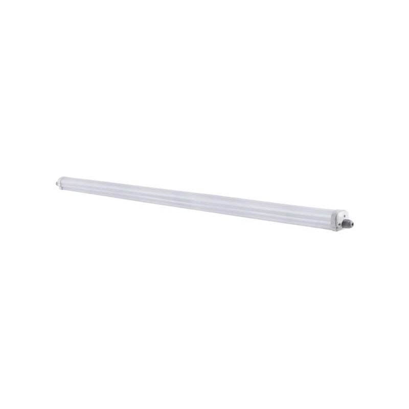 Neon led smd 48W 150cm IP65 - Blanco natural 4000K