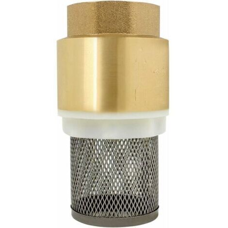 Non-return strainer valve 1/2", 3/4", 1", 2 inch - non-return valve, non-return pump check valve (2 inch)