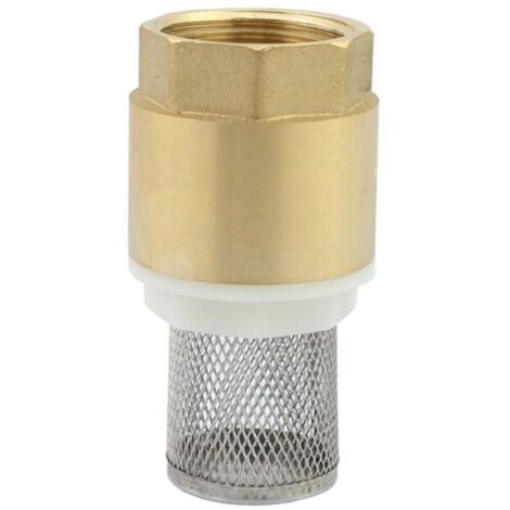 Non-return strainer valve, non-return valve, pump non-return valve (1 inch)